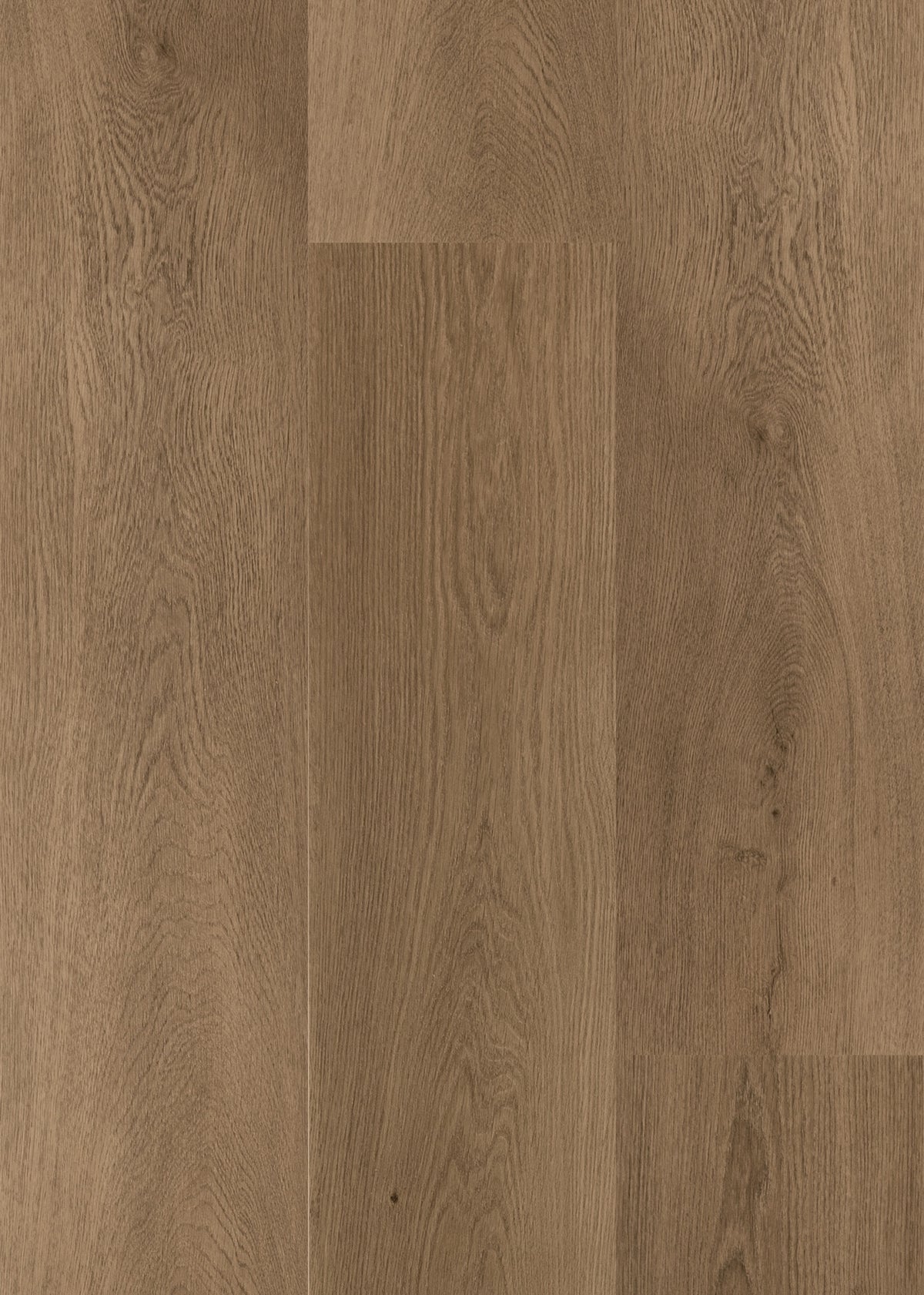 Daltile Asher Bend Lodge 9x71 rigid click plank