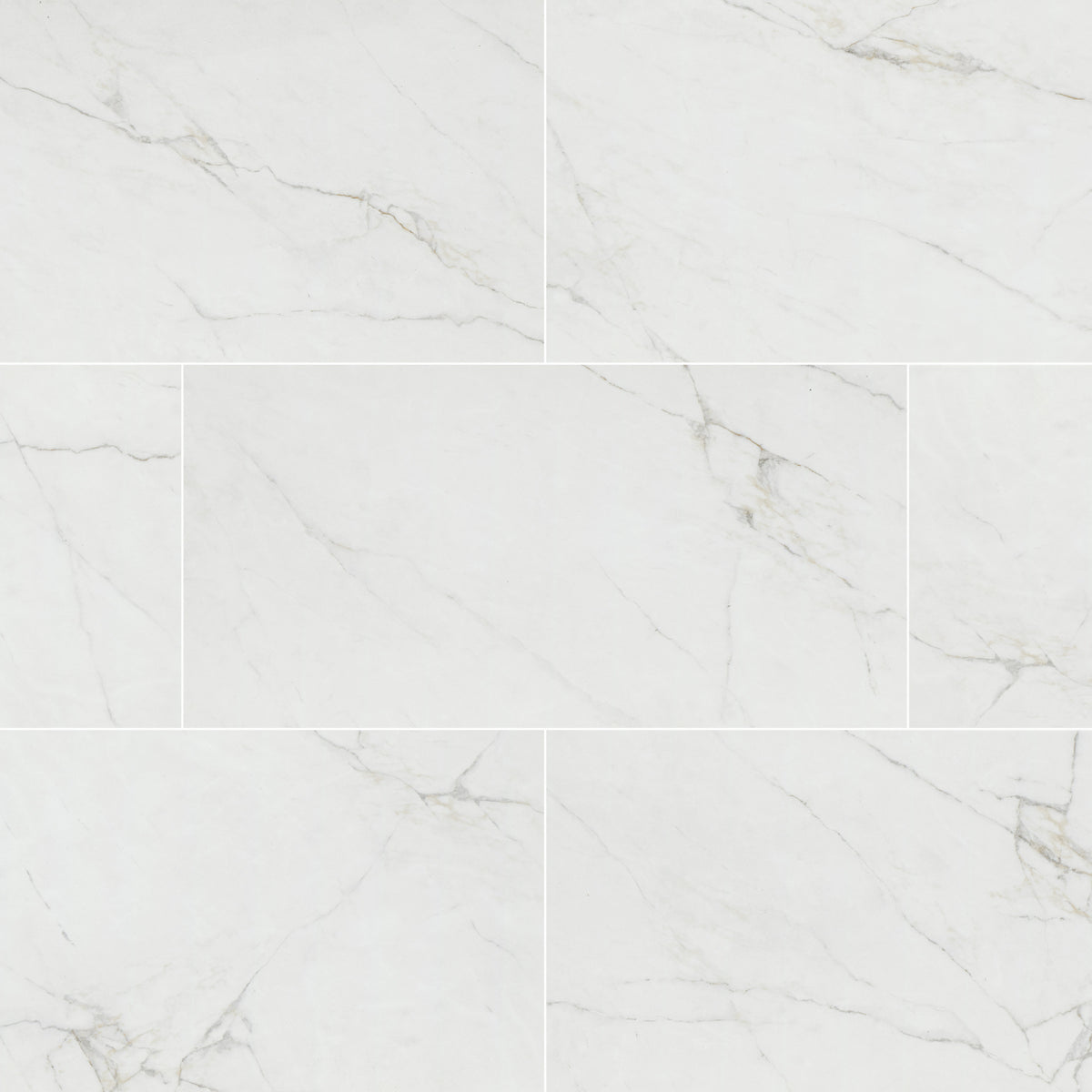 DYMO CALACATTA WHITE 12X24