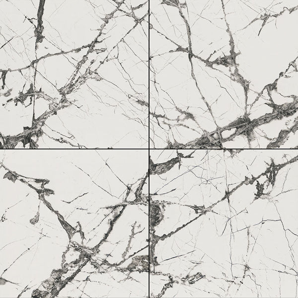 Exotika Lux Iceberg White 48x48 Polished, MSI product image