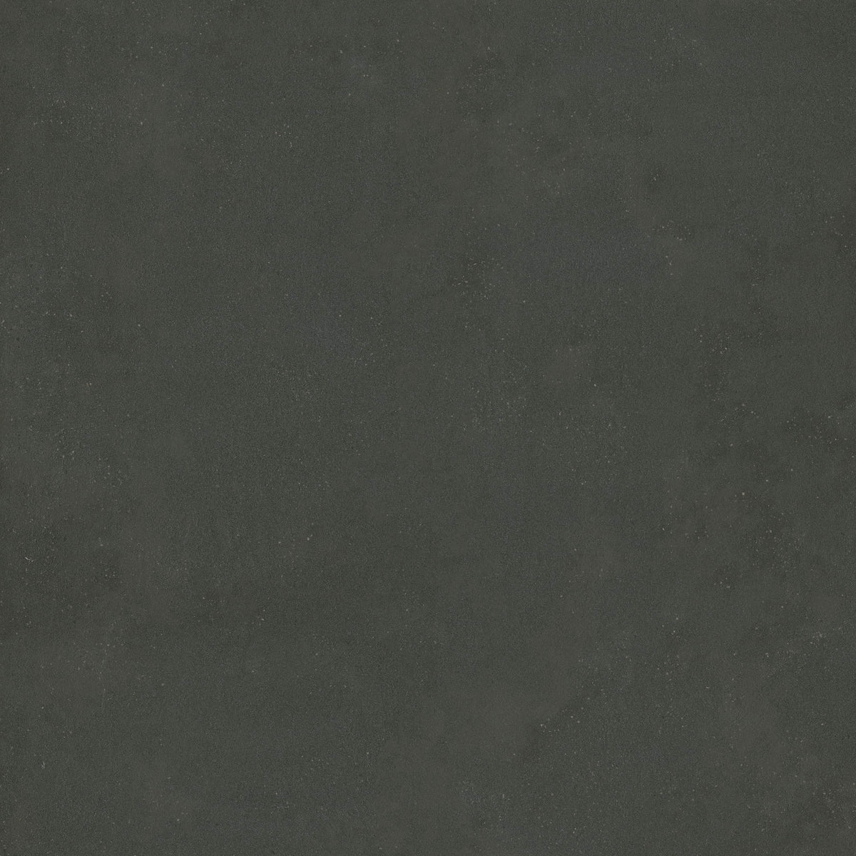 Architecta Graphite 48x48 R11
