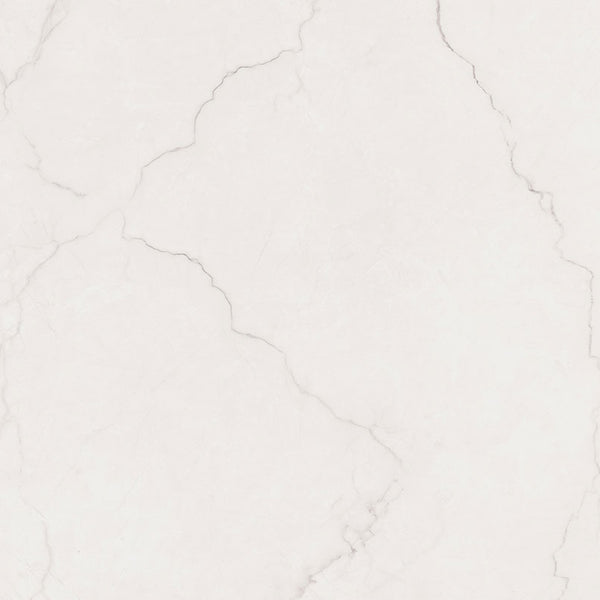BRIGHTON GRAY 48X48 MATTE