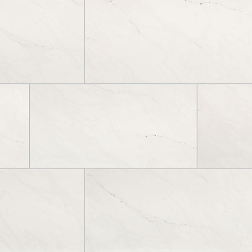 ARIA ICE 24X48 POLISHED