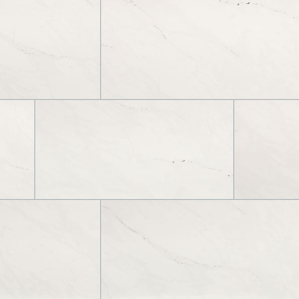 ARIA ICE 24X48 POLISHED