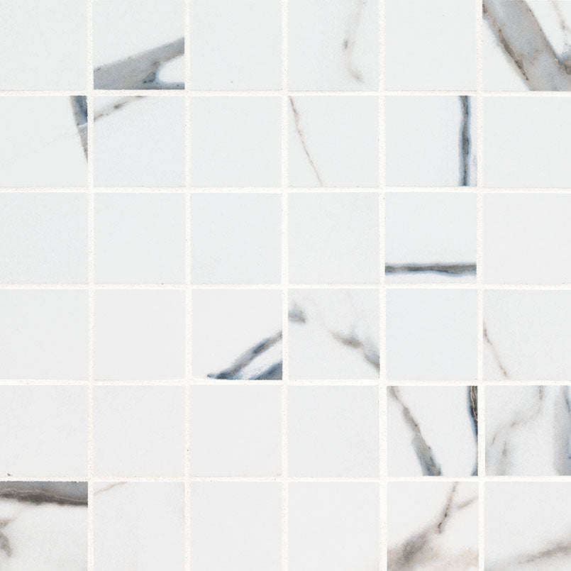 SAVOY AZULA 2X2 MATTE MOSAIC