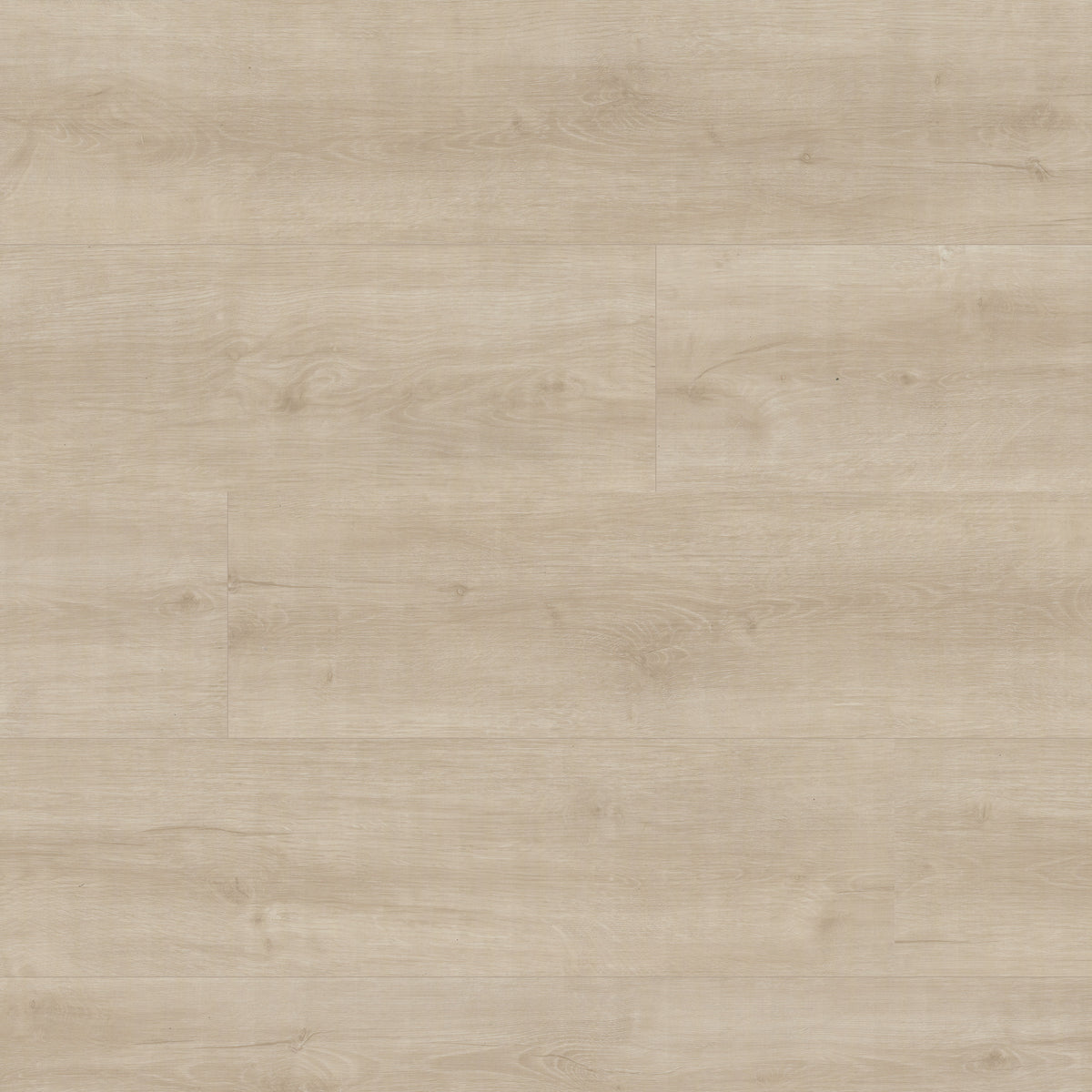 LAUREL - SHASTA GROVE 8.98X48.03