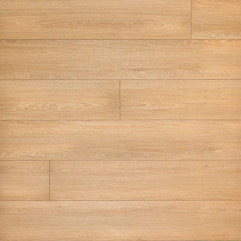 XL CYRUS - VALLEYVIEW GROVE 8.98X60